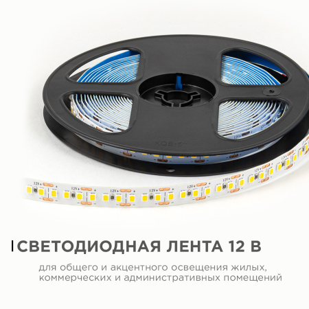PHOTO_LSE-262_1