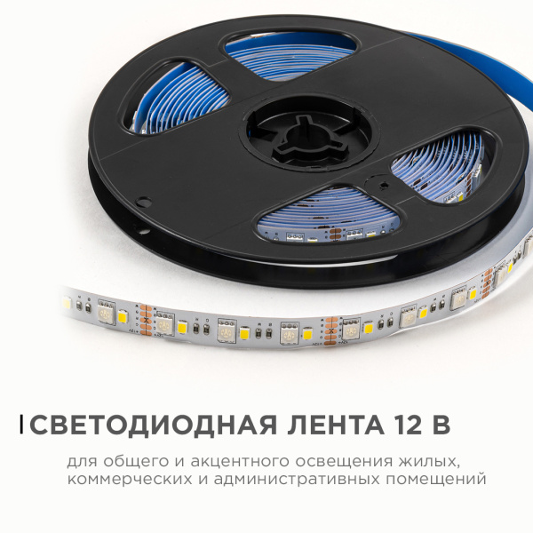 PHOTO_LSE-272_1