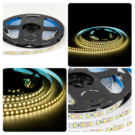 PHOTO_LSE-257_6