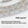 PHOTO_260BL_2